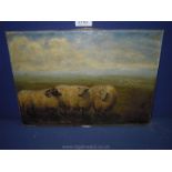 An unframed Oil on canvas depicting sheep on moorland,