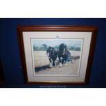 A framed and mounted Print depicting heavy horses ploughing, after D.