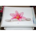 Print on canvas of a Lily.
