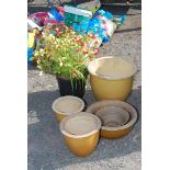 Five pottery garden planters and a potted shrub