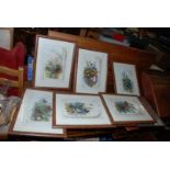 A set of seven colourful butterfly prints etc.