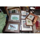 Quantity of various framed prints including butterflies, flowers etc.