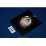 An antique Portrait Miniature in lacquered frame of a young woman in a satin dress,