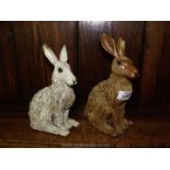 Two Sarah Darcy pottery Hares, grey one 7 1/2'' tall and brown one 8 1/2'' tall.