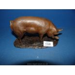 A ''North Light'' bronze coloured figure of Large White Boar, 4 1/2'' high by John Stanbridge, 1981.