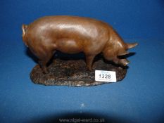 A ''North Light'' bronze coloured figure of Large White Boar, 4 1/2'' high by John Stanbridge, 1981.