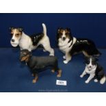 Four Cooper Craft dog ornaments Airedale, collie dog, sheep dog and Doberman.