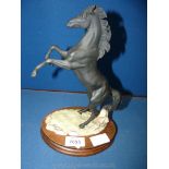 A Border Fine Arts 'Black Stallion Returns', limited edition, with base, 10 1/4'' tall.