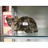 A large Winstanley china Tortoiseshell cat with glass eyes, 11 1/2'' long x 6'' high,