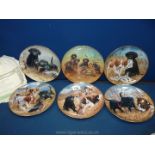 Six Franklin Mint Labrador and Spaniel display plates, with certificates.