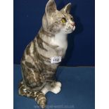 A large Winstanley grey Tabby cat sitting, 13 1/2'' tall, with glass eyes and signed to the base.