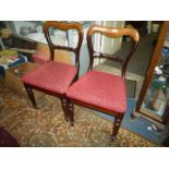 A set of six circa 1900 balloon back Mahogany and Rosewood framed dining chairs having turned and