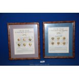 Two framed Civil war uniform Buttons - Confederate Army and Union army.