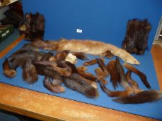 A quantity of Fox furs and mink furs including hand muffs, tails, etc.