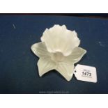 A Royal Worcester China Works flower holder Daffodil (G103),