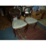 A pair of hooped back Victorian Mahogany framed side Chairs standing on elegant canted front legs