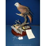 A Border Fine Arts figure - Red Kite with certificate, limited edition, 15 1/2'' tall.