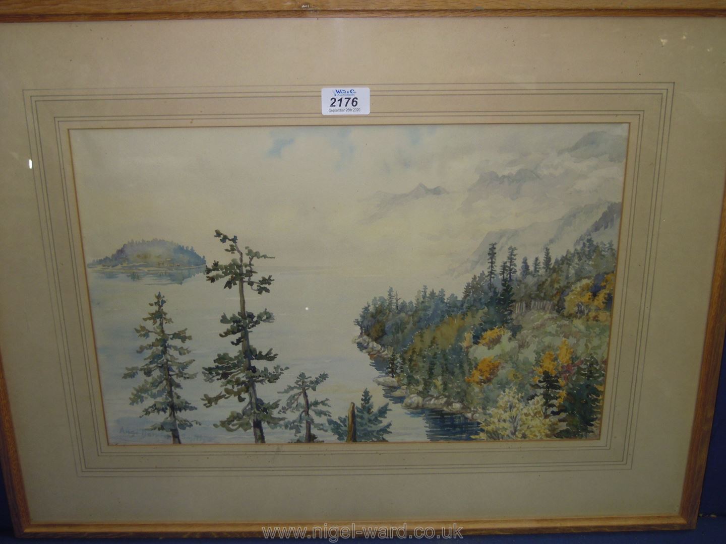 A framed and mounted watercolour of a spruce lined lake scene with mountains and island,