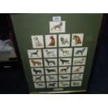 A framed set of John Players Cigarette Cards of Dogs by Wardle.