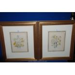 Two framed and mounted botanical Prints of various Narcissus, 20 1/2'' x 23 1/3''.