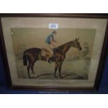 A framed picture of 'Gladiator', 1864 winner 2000 Guineas and Epsom Derby 1865.