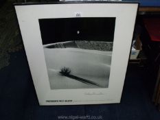A framed Andrew Shumaker Photography West Gallery Poster entitled Yucca, Dune and Moon 1982.