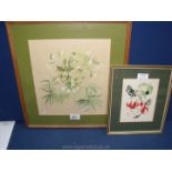 A framed and mounted Watercolour depicting Helleborus Foetidus by Pat Barbrook plus one other.