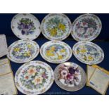 Six Royal Grafton limited edition Comfort and Joy display plates,