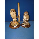 A Country Artists figure of an Owl,
