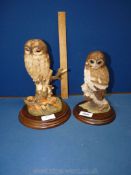 A Country Artists figure of an Owl,