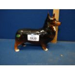 A Beswick black and tan Corgi,