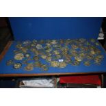 A good quantity of horse brasses.