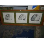 A single wooden framed set of three pencil sketches of Pedigree goats,