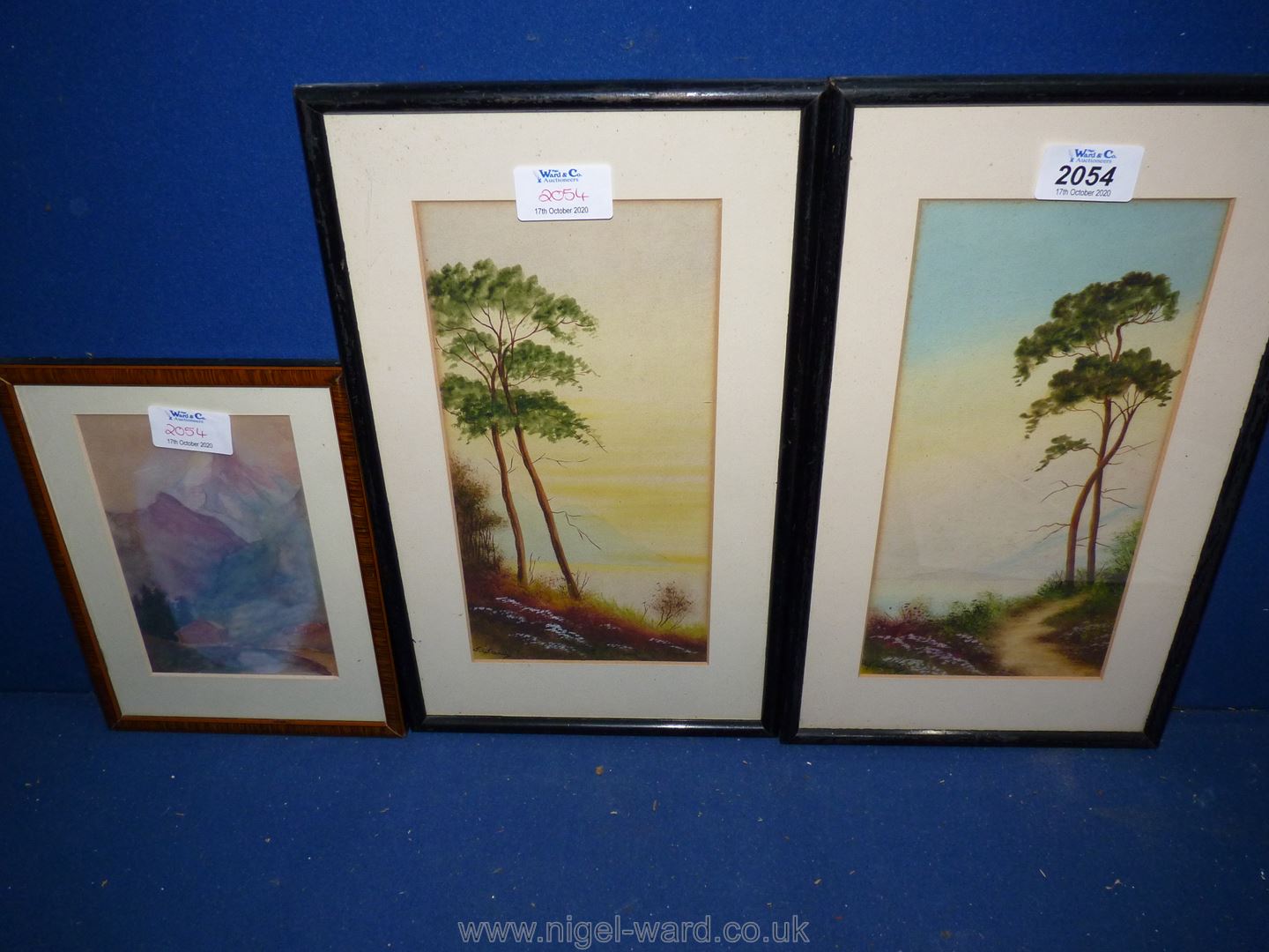 A pair of framed and mounted Watercolours of coastal scenes, trees and footpaths,