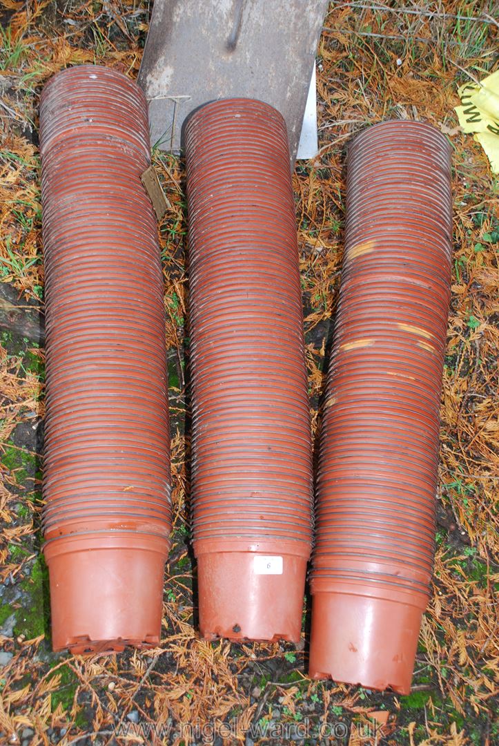 A large quantity of 6" Plastic flower pots.