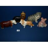 Four china figures of a Sheltie sheepdog, Hereford Bull, a grey cat, and a Yorkshire Terrier.