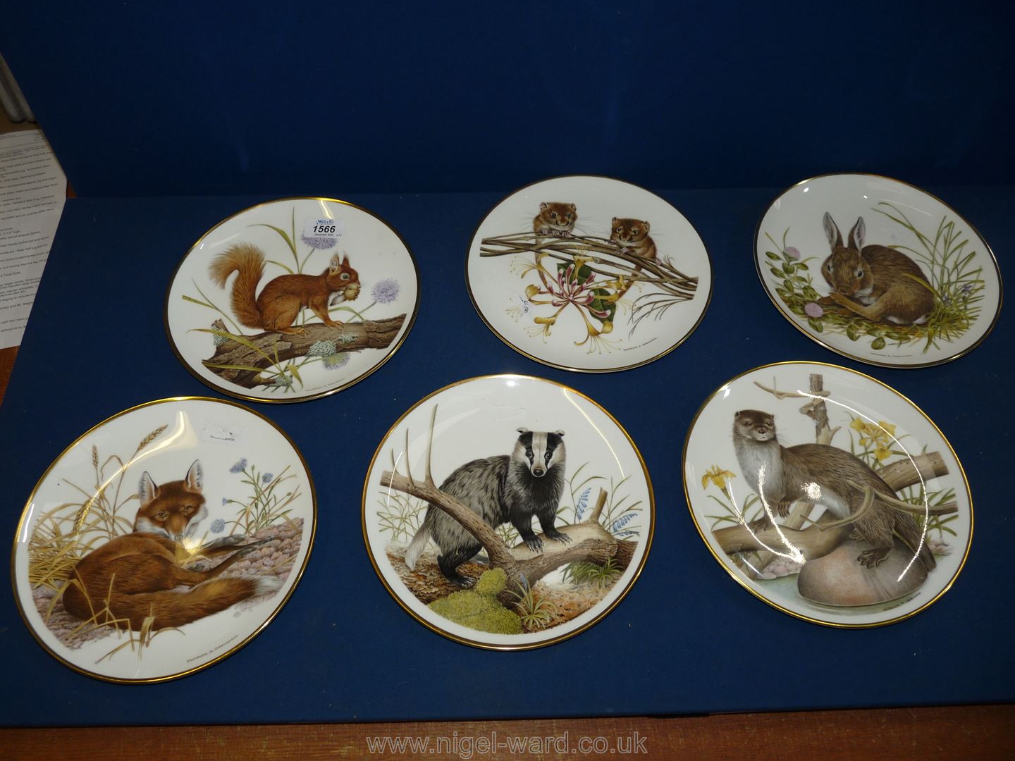Six Wedgwood British Wildlife plates.