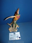 A well-modelled figure of ''The ring necked Pheasant'' sculpted by A.J.