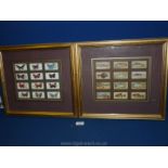 A pair of framed and mounted original Cigarette Cards, twelve butterflies and twelve fish,