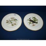 Two Coalport plates including Lapwing and Blue Tit.