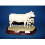 A Border Fine Arts Charolais cow and calf, limited edition,