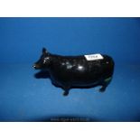 A Beswick Aberdeen Angus cow, model no.