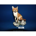 A Border Fine Arts sitting Fox, 6'' tall.