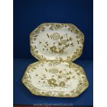 Two large Meat Plates, white ground with green and gold floral pattern.
