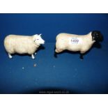 A Border Fine Arts Pottery Suffolk ram (ear chipped) and a Texel Ewe.