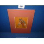 Alma Dixon: Horse portrait painted in oils, 3 3/4'' x 4'', in card mount.