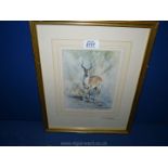 David Shepherd, a pencil signed Print of Antelope.