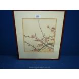 A framed and mounted oriental watercolour of Prunus.