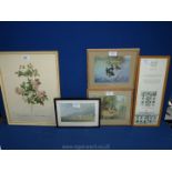 Two framed and mounted Vernon Ward prints of ducks, a Redoute print of Roses,