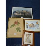 Four framed Prints: Acropolis of Athens, a Redoute print of Rosier de Francfort,